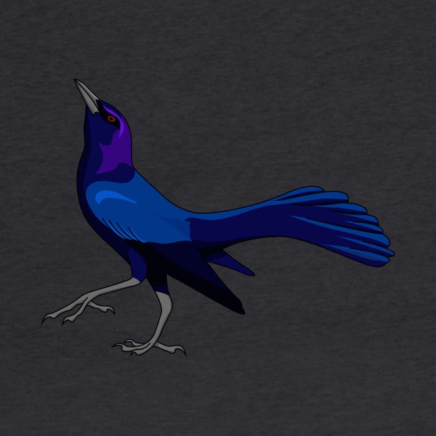 Boat-tailed Grackle - UPDATED! by Feathered Focus